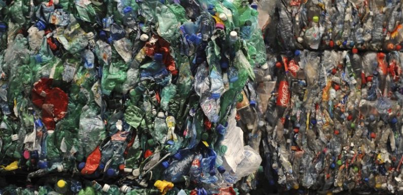 Plastique : comment la Chine a incité la France a recycler ses déchets