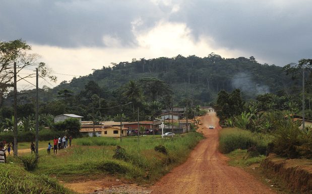 La Norvège va payer le Gabon pour ne pas déforester