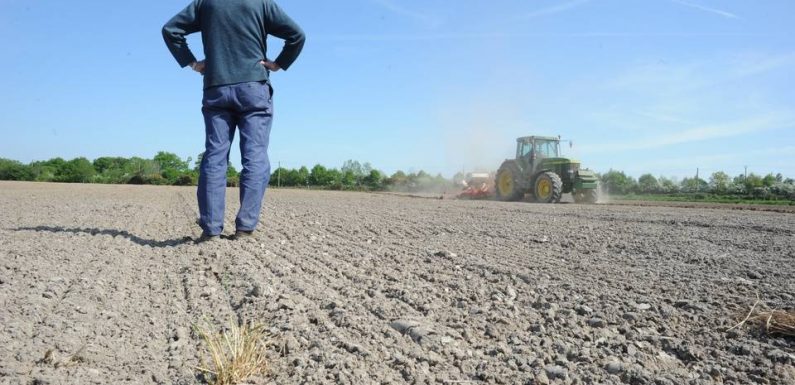 Un agriculteur sur deux touché par la sécheresse ou la canicule, selon Groupama