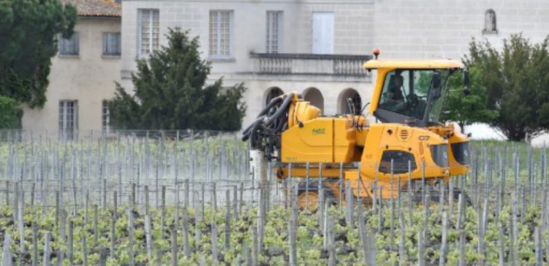 Pesticides : Derrière les « zones-tampon » de 150 m, une foule de questions