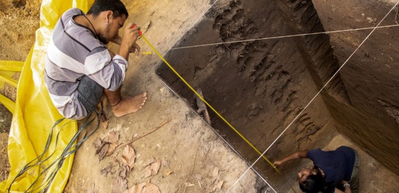 Brésil : Des archéologues découvrent que l’Amazonie n’est peut-être pas si vierge que ça