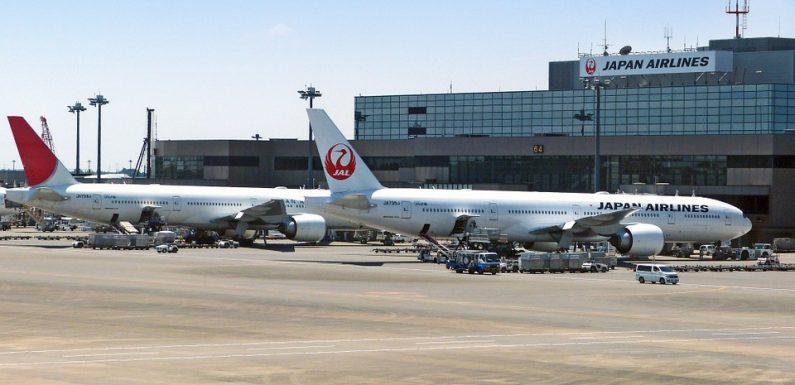 Japon : Une compagnie aérienne signale les places occupées par les bébés lors de la réservation