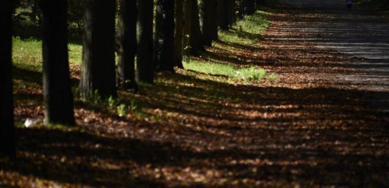 Paris: Un SDF retrouvé mort au bois de Vincennes, victime de mutilations sexuelles
