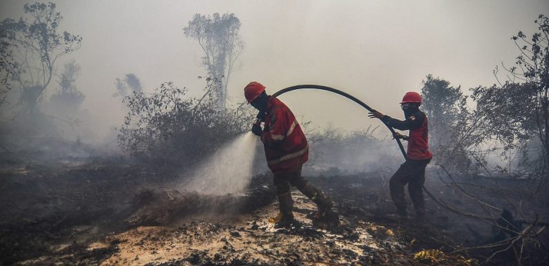 Indonésie : Un nuage rouge, causé par des incendies, envahit le ciel