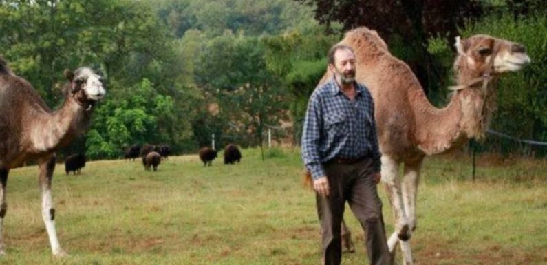 Essonne : Comment le village de Janvry avec ses 630 habitants est devenu la capitale des chameaux et des dromadaires