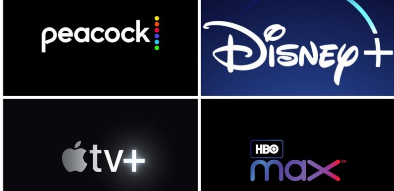 Netflix, Disney+, HBOMax… Le plan de bataille des plateformes de streaming américaines