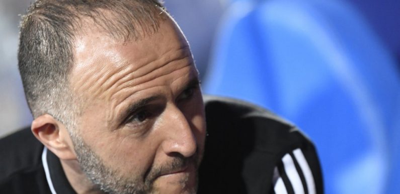 Algérie: Djamel Belmadi voudrait «jouer un jour» contre l’équipe de France