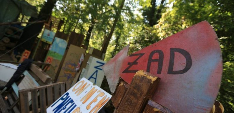 Strasbourg : Treize « zadistes » jugés pour avoir construit une cabane sur le chantier du GCO