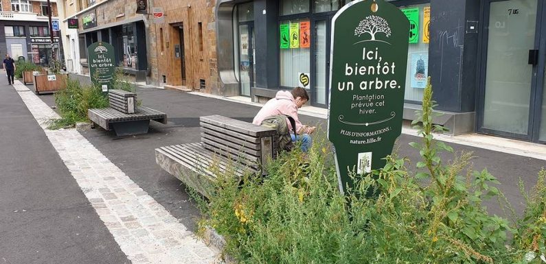 Municipales 2020 à Lille : Comment Aubry coupe l’herbe sous le pied de ses adversaires sur l’écologie