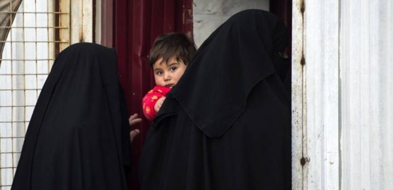 Neuf enfants et deux femmes djihadistes de retour en France