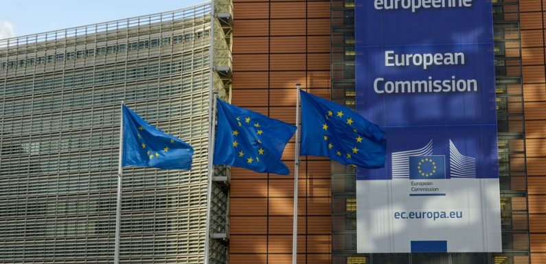 PODCAST. «Explique-moi l’Europe»: Les auditions des commissaires européens