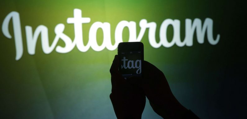 Les réseaux sociaux ravivent la flamme des Britanniques pour la poésie