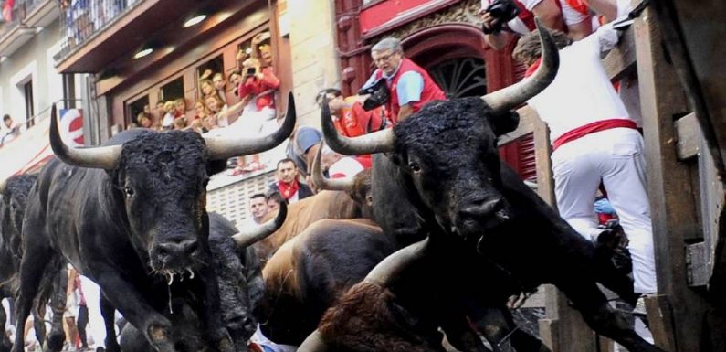 Espagne : Un homme meurt encorné par un taureau, le deuxième en deux semaines