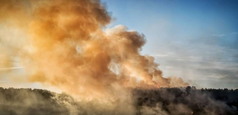 Des incendies ravagent des centaines d’hectares dans plusieurs départements