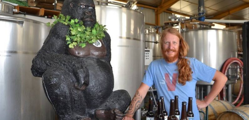 Montpellier : Pourquoi un tel engouement pour les bières artisanales ?
