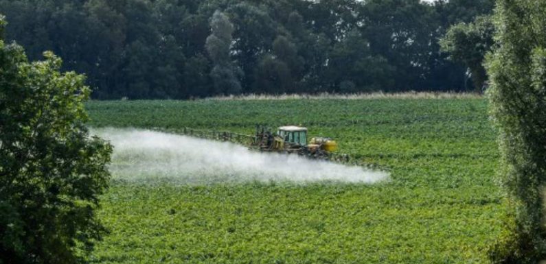 Pesticides : « Avec les SDHI, nous sommes à l’aube d’une potentielle catastrophe sanitaire »