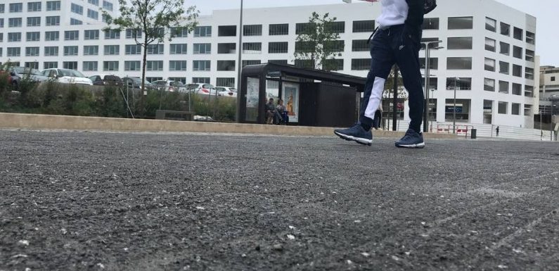 Nice : Des coquillages plus forts que les climatiseurs, ils pourraient rafraîchir l’air de 2°C