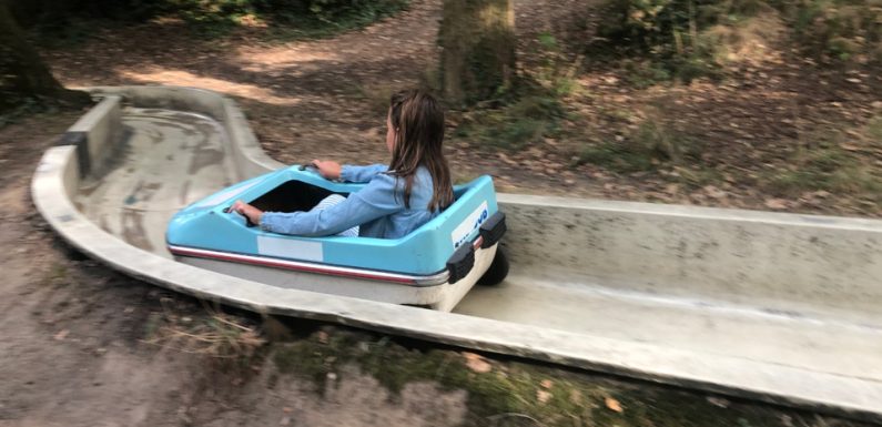 Nantes: Le mini bobsleigh de Procé fait le plein pour sa réouverture