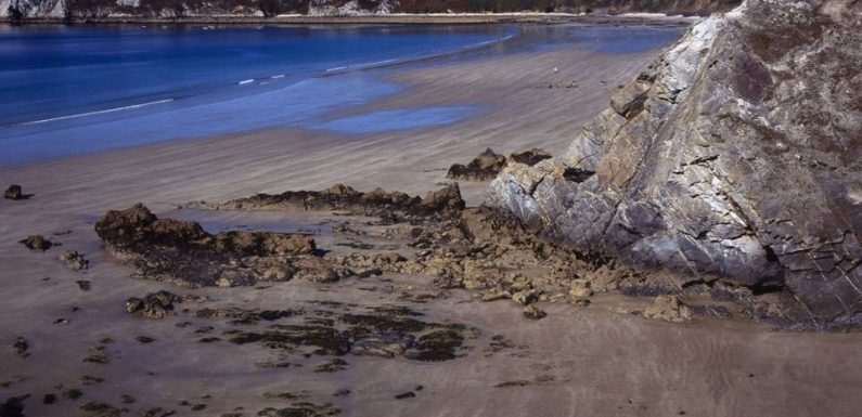 Finistère : Une plage de Crozon fermée à cause d’un cadavre de baleine