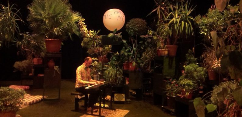 Cergy-Pontoise : Un théâtre envahi par des plantes d’appartements