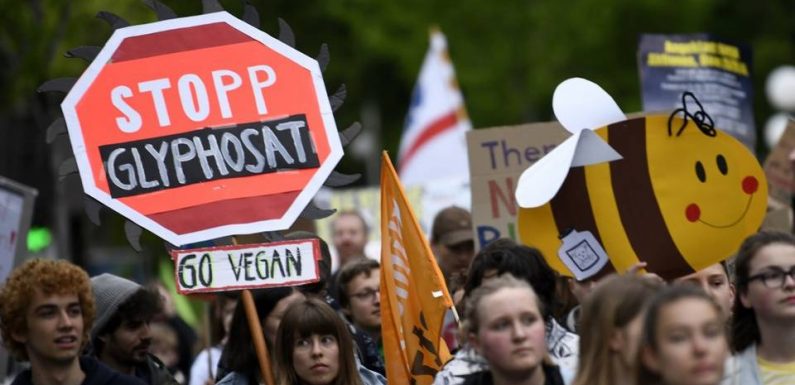 Allemagne : Le gouvernement interdit le glyphosate à partir de 2023
