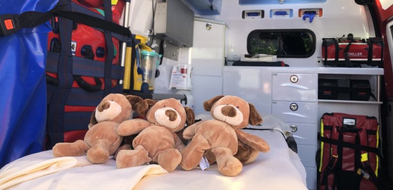VIDEO. Rennes : Des peluches dans les camions de pompiers pour rassurer les tout-petits