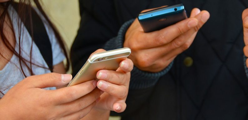 « Twitter est devenu la poubelle des réseaux sociaux »