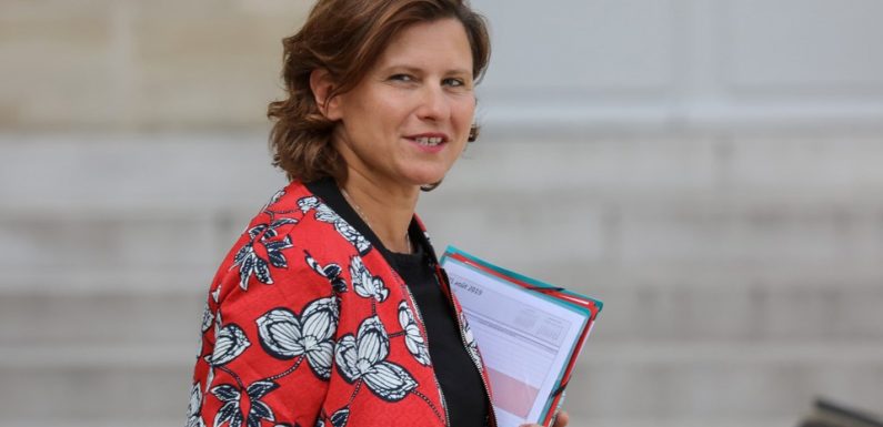 Chants à caractère homophobe : « Sa position est erronée », Roxana Maracineanu répond à Noël Le Graët