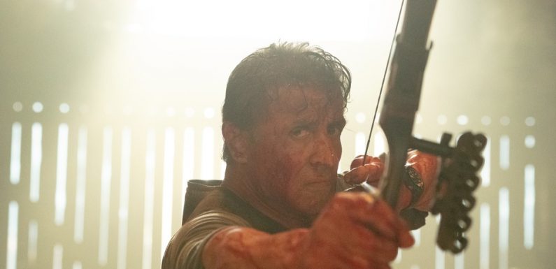 VIDEO. Sylvester Stallone : « Si vous aimez le whisky, vous avez Rambo, si vous aimez la bière, voyez les Avengers »