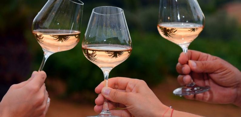 VIDEO. Face aux menaces de Donald Trump, les viticulteurs de Provence gardent le cap et regardent à l’est