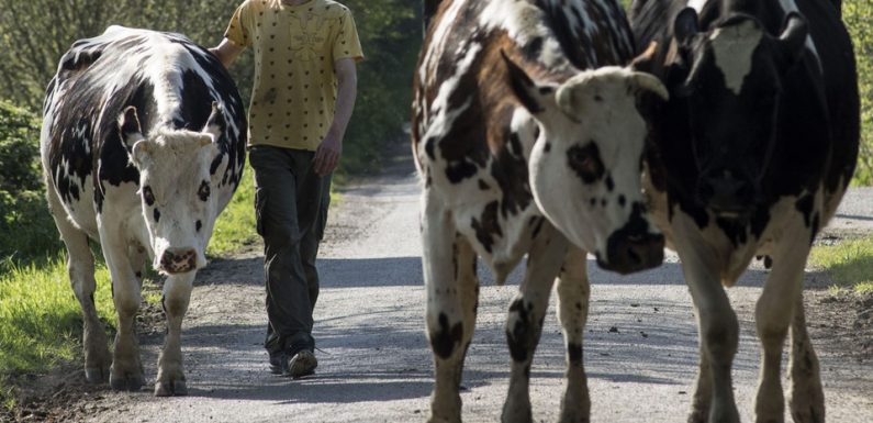 Notre-Dame-des-Landes : Même si « tout n’est pas réglé », la ZAD sera agricole et surtout bio