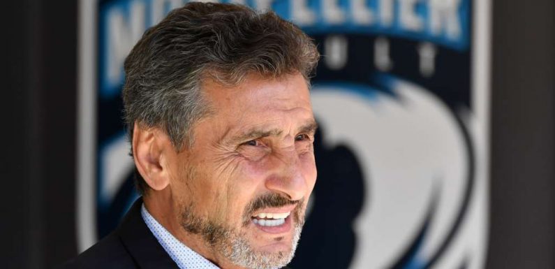 10 choses à savoir sur Mohed Altrad, le milliardaire qui veut devenir maire de Montpellier