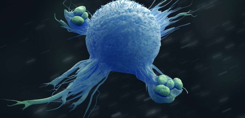Cancer : une nouvelle immunothérapie prometteuse pour vaincre le mélanome