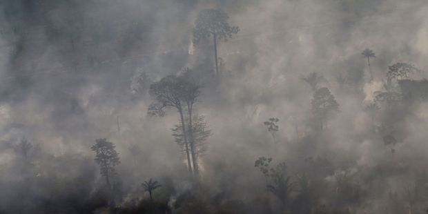 Amazonie : des députés et ONG français appellent à agir pour ne pas être « complices de la déforestation »