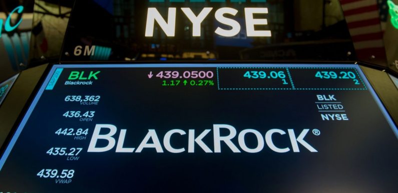 « Ces financiers qui dirigent le monde »: le gestionnaire BlackRock et ses 6000 milliards de dollars d’actifs