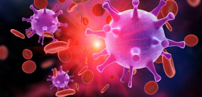 Espoir contre le VIH : première transplantation de cellules souches modifiées