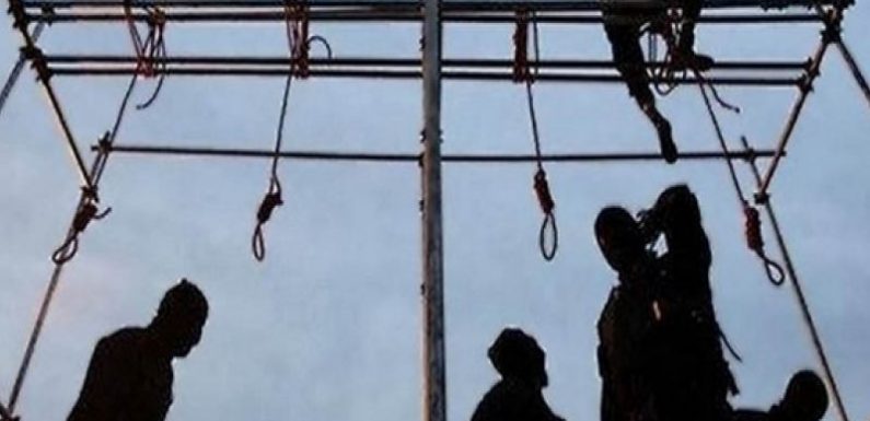 Iran : 176 exécutions en 2019
