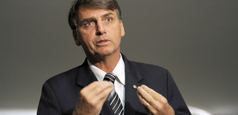 Amazonie : les consommateurs doivent agir pour “ne plus être complices de la déforestation”