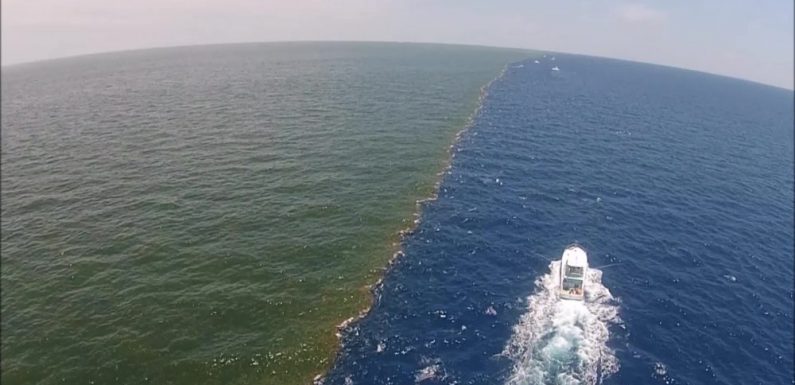 Mississippi River Meets The Gulf of Mexico: NO OXYGEN, NO LIFE: THE GULF OF MEXICO’S ‘DEAD ZONE’