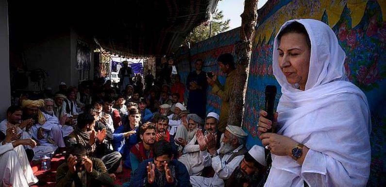 Afghanistan. La campagne très risquée de la députée féministe Shinkai Karokhail