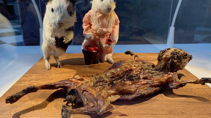 Le musée des aliments dégoûtants débarque à Nantes