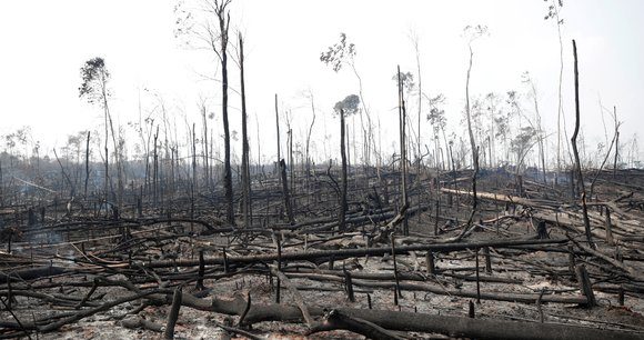 Ecologie : les Français prêts à changer… sauf sur la voiture individuelle