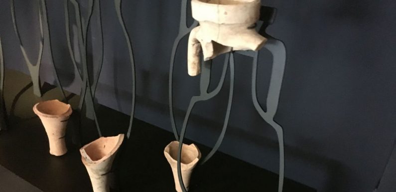 Puy-de-Dôme : découvrez en avant-première l&rsquo;histoire étonnante de 6 objets gaulois du musée de Gergovie