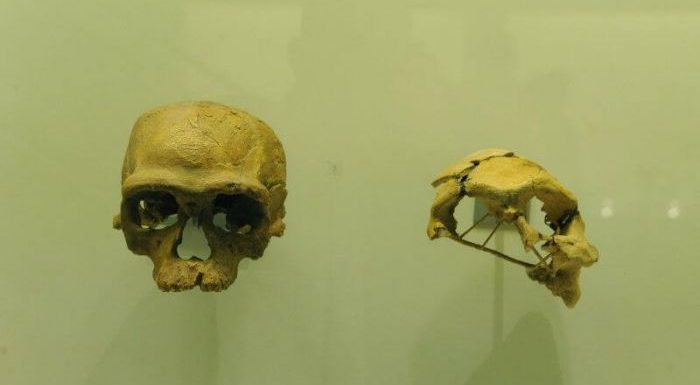 La France va rendre 35.000 pièces ethnographiques au Maroc