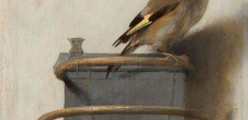 La véritable et poignante histoire du « Chardonneret »