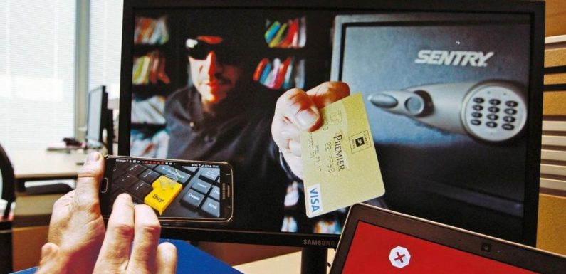 Des faux sites internet de banques en ligne se multiplient, mettent en garde les autorités