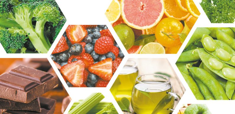 Vivre plus longtemps grâce aux polyphénols végétaux