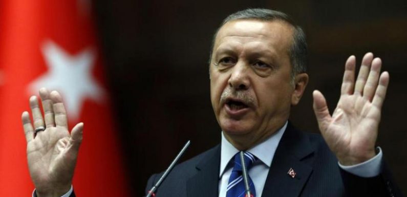 Egypt Calls for Holding Erdogan Accountable over Terrorism, Targeting of Kurds