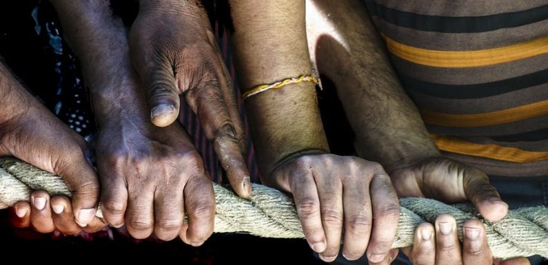 Anthropocène : l’humanité nécessite un programme de recherches en son nom