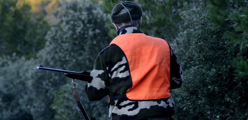 Béziers : il avait tué un viticulteur pris pour un sanglier, le chasseur condamné